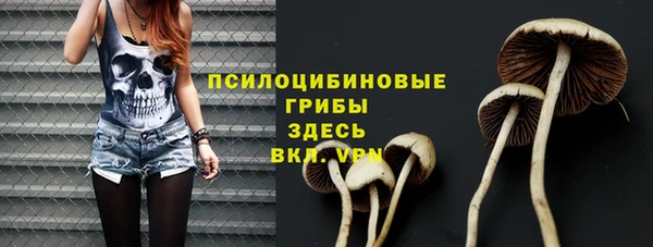 Альфа ПВП Каменск-Шахтинский