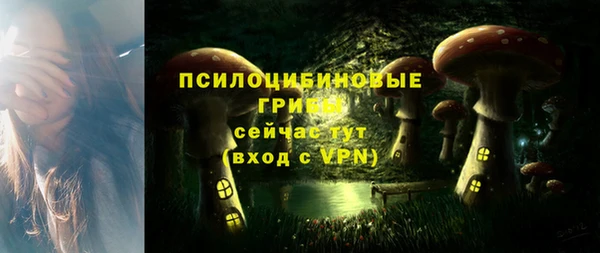 прущая мука Каменногорск