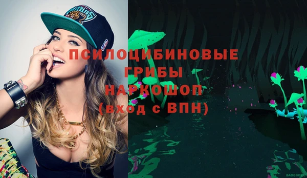 mix Каменка