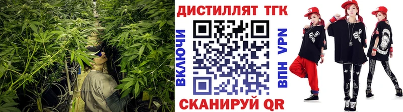 ТГК концентрат  Купить  Няндома 