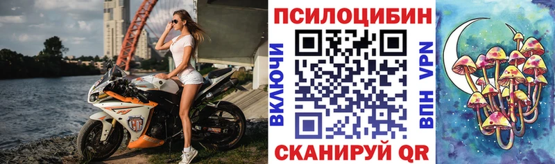 Купить  Няндома  Псилоцибиновые грибы мицелий 